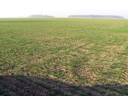 Property photo 14 - 60 Acres Offered in 2 Tracts